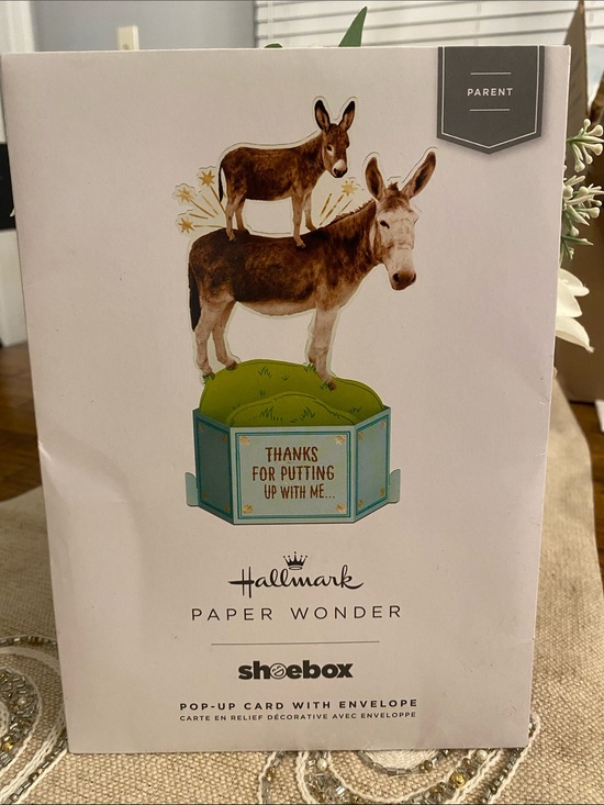 Hallmark Other - Hallmark Paper Wonder Pop-Up Card